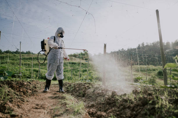 Best Pest Removal Services  in Marysville, PA
