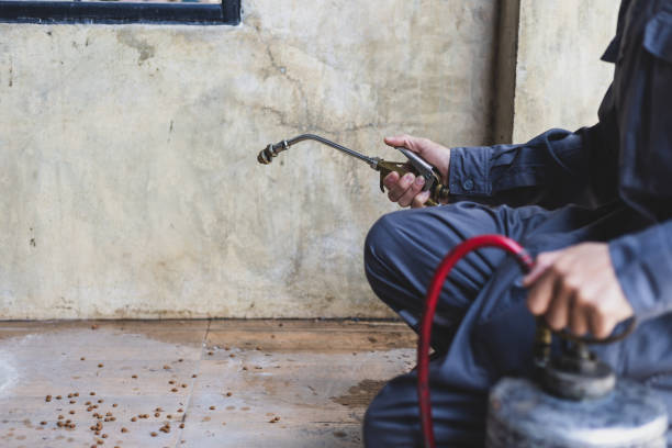 Best Best Pest Control Companies  in Marysville, PA